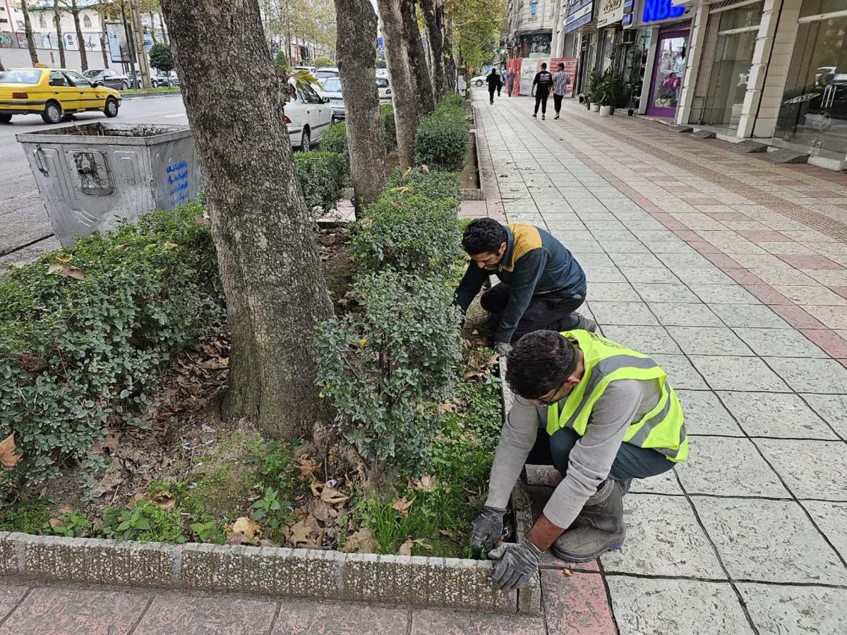 گزارش 1402 08 09 2 - نظافت پیاده رو امام خمینی(ره)-1402/08/09