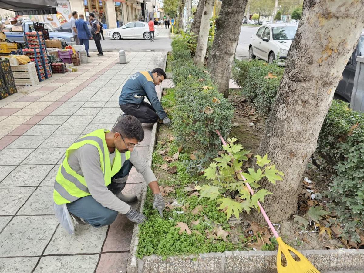 گزارش 1402 08 09 3 - نظافت پیاده رو امام خمینی(ره)-1402/08/09