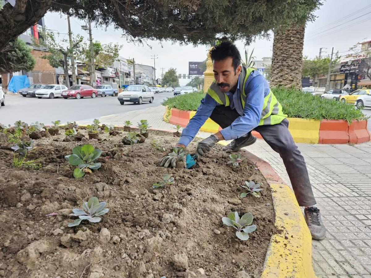 گزارش 1402 08 242 - کاشت نشاء فصلی در سطح شهر-1402/08/24