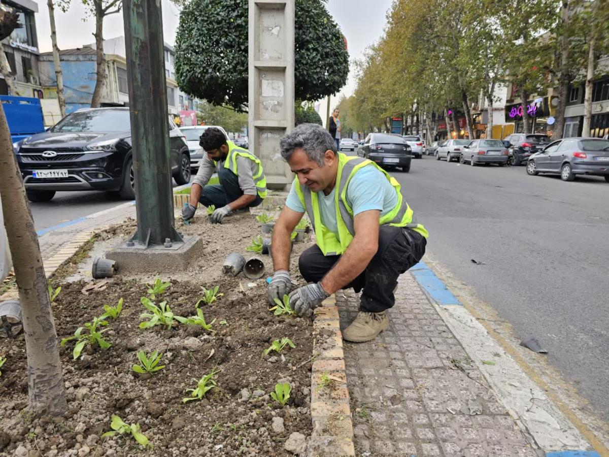گزارش 1402 08 243 - کاشت نشاء فصلی در سطح شهر-1402/08/24