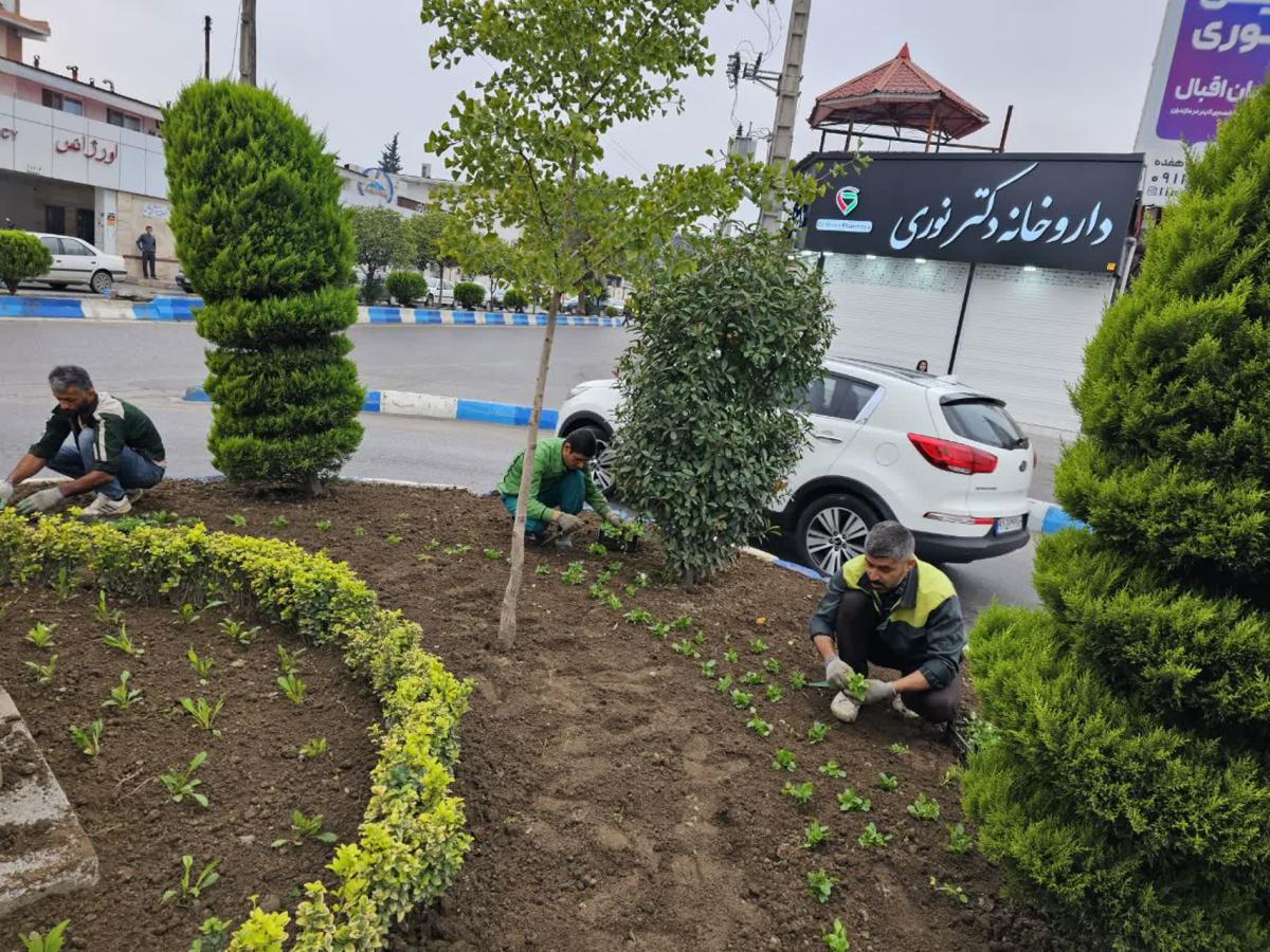 گزارش 1402 08 244 - کاشت نشاء فصلی در سطح شهر-1402/08/24