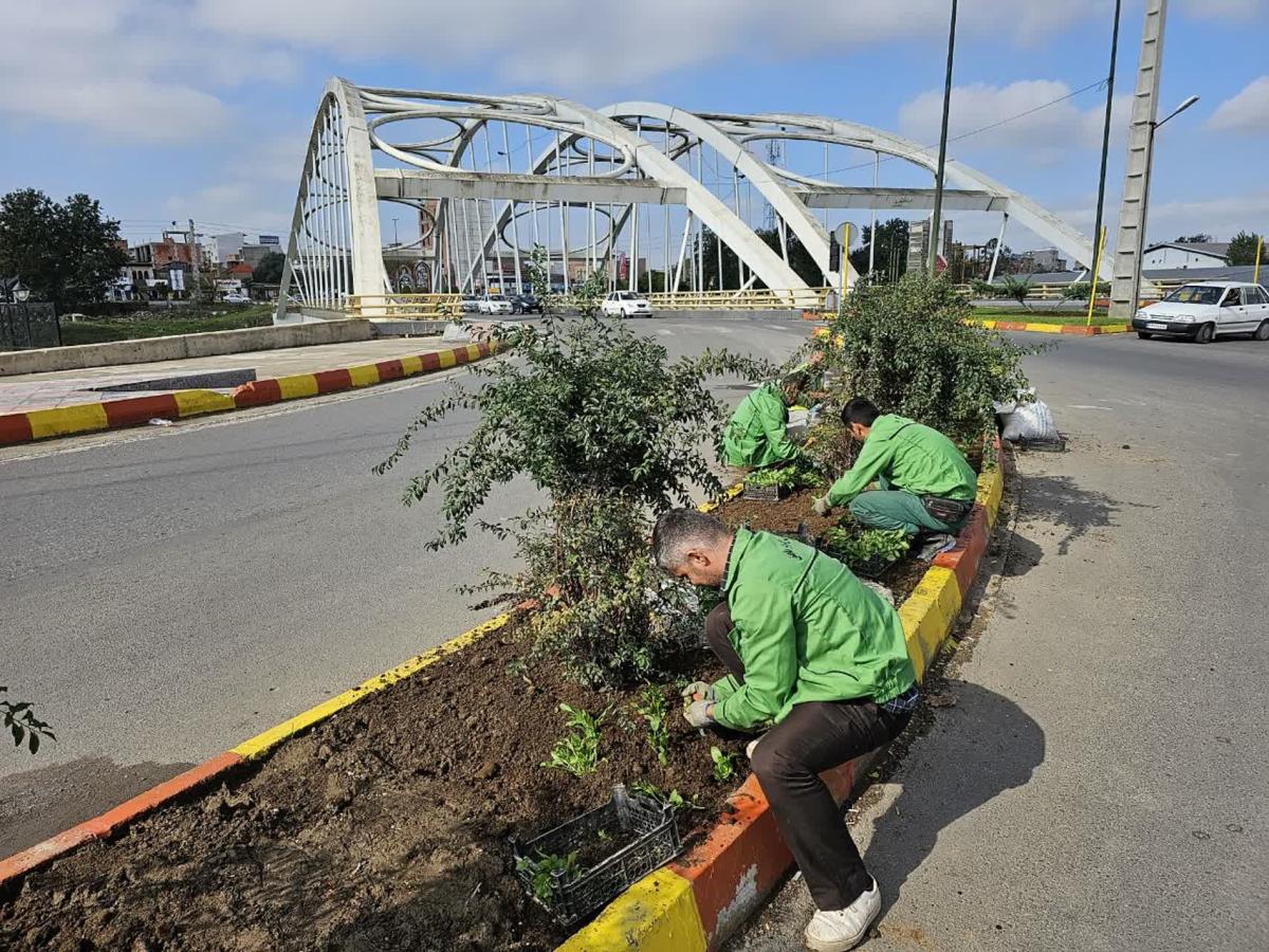 گزارش1402 08 202 - کاشت نشاء بلوار جانبازان و میدان محیط زیست-1402/08/20