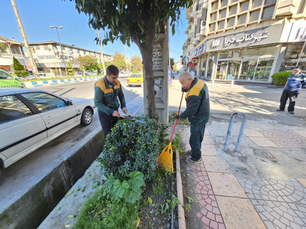 گزارش1402 09 111 - هرس بلوار امام خمینی-1402/09/11