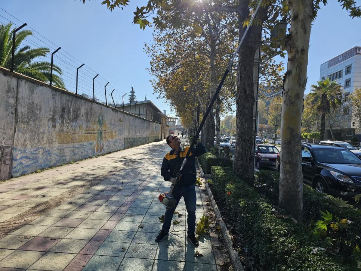 گزارش1402 09 112 - هرس بلوار امام خمینی-1402/09/11