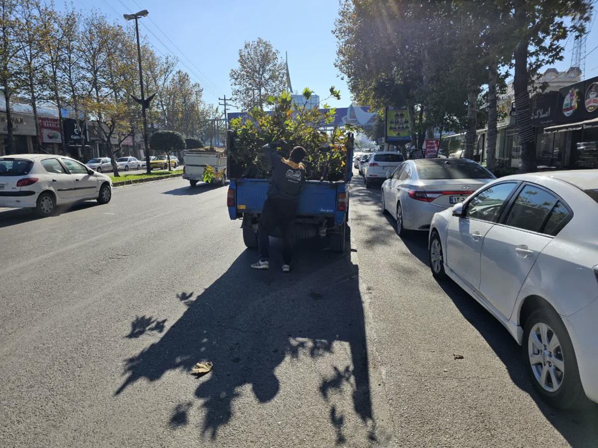 گزارش1402 09 113 - هرس بلوار امام خمینی-1402/09/11